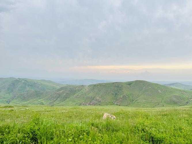 资深工程师亲授:HTM转PDF的3种高效方案与避坑指南