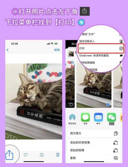 照片转PDF全攻略:从基础操作到专业技巧,一次搞定所有需求
