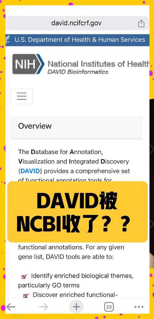 从ID到PDF：3种专业转换方案深度解析，90%的人都忽略了这一步