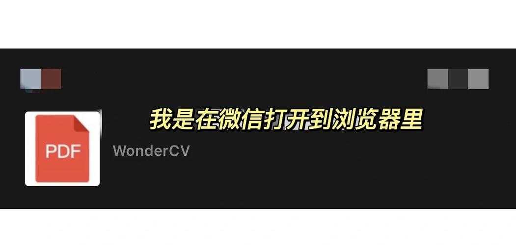 PDF转图片的终极指南：手机端高效转换技巧大揭秘