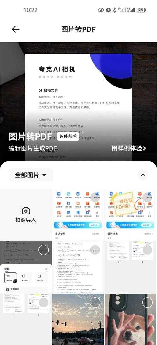 为什么你的扫描仪不能直接生成PDF?揭秘3个关键原因与专业解决方案