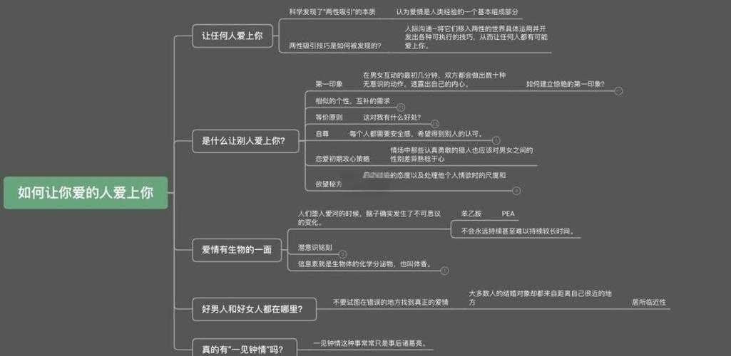 从技术视角解密:如何高效获取并利用《如何让你爱的人爱上你》PDF资源