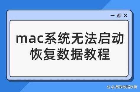 Mac用户必看:5种高效下载PDF的方法,第3种90%的人都不知道