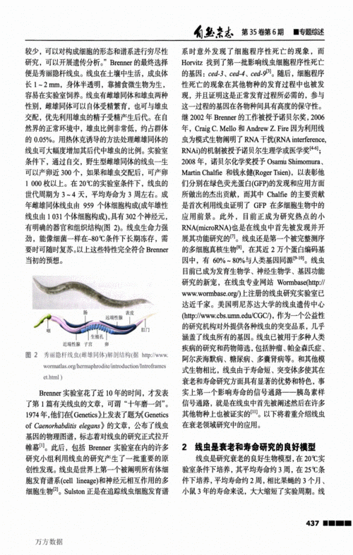 揭开电子文档的秘密:双层PDF识别实战指南