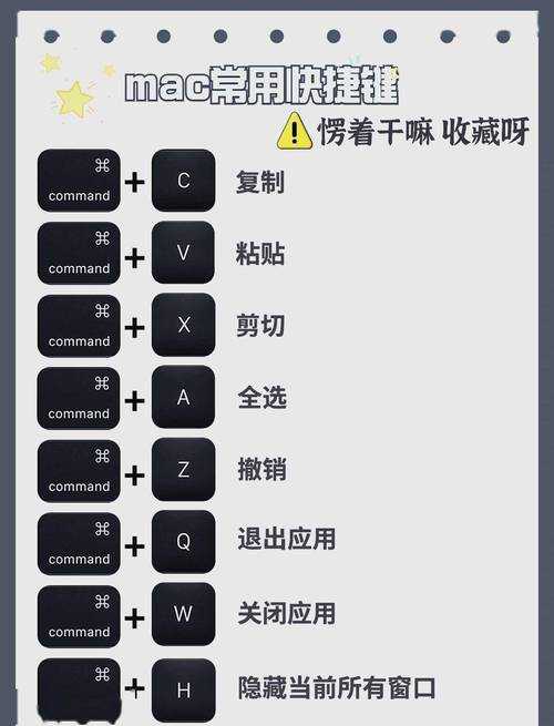 从PDF模板到PPT演示：解锁高效办公的隐藏技能