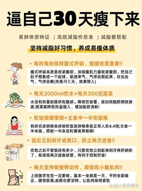 告别臃肿：一份关于PPT转PDF变小的深度瘦身指南