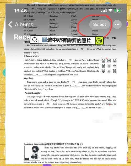 PDF转图片的免费之道：没有会员也能轻松搞定