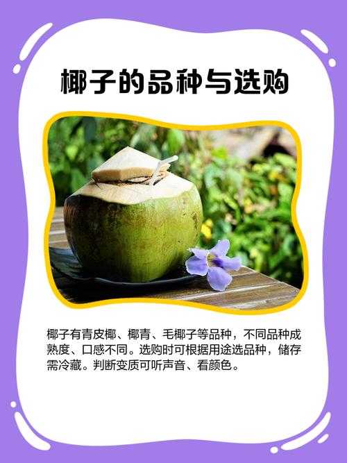 PDF格式怎么打开椰子：一个技术博主的实用指南