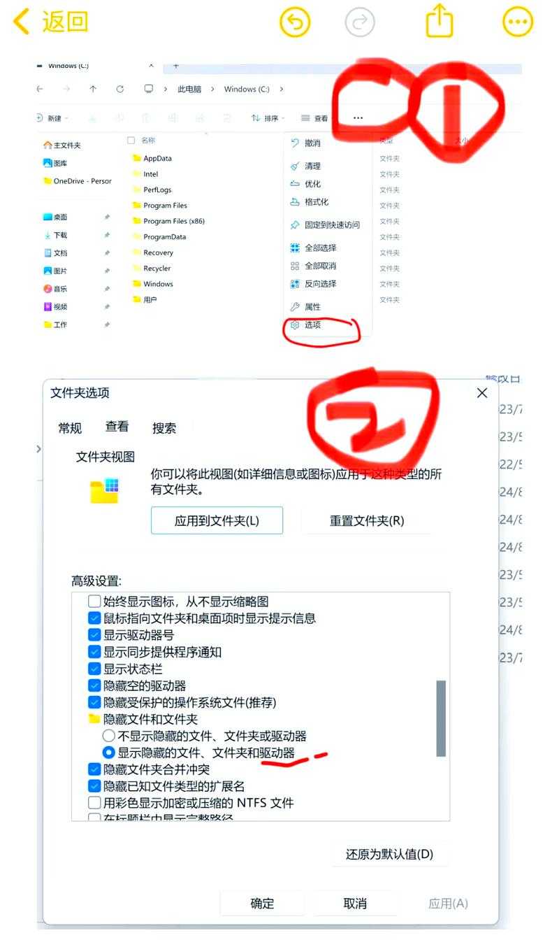 从专业视角探讨：Photoshop如何高效处理PDF文件