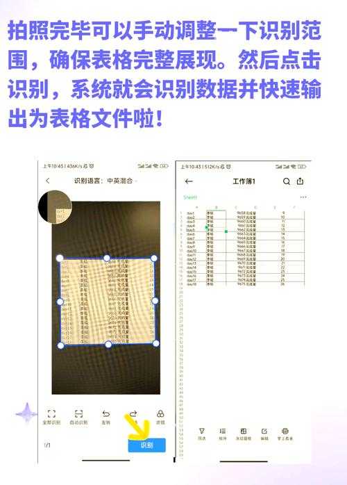 Excel转PDF图片神秘消失？一个老司机的深度排错指南