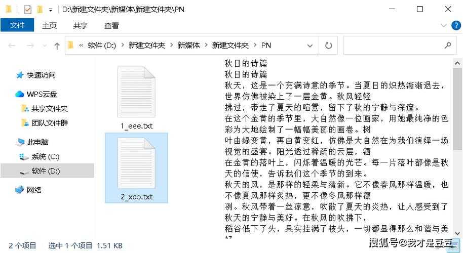 别再为格式发愁：深度剖析三种高效的免费txt转pdf方法