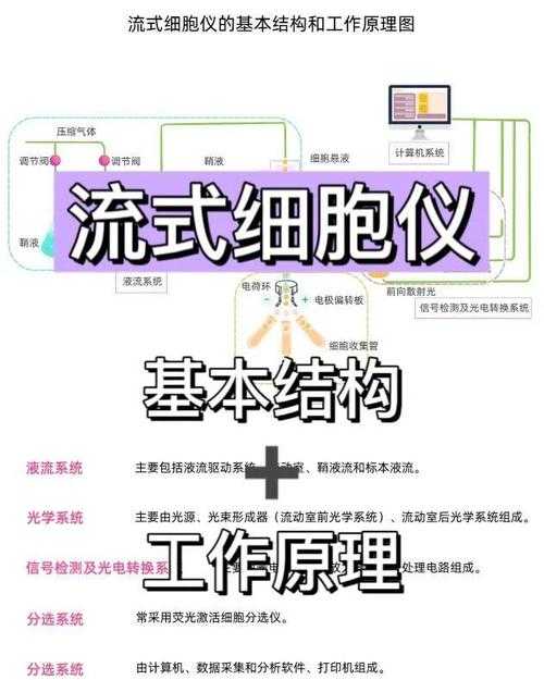 别再用传统方法了！深入剖析PDF内容流压缩：从原理到实战的降维打击
