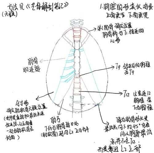 从零到一：解锁高效“人体PDF默写”的进阶指南