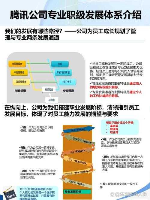 腾讯图片转PDF：从办公场景到专业需求的全方位解析