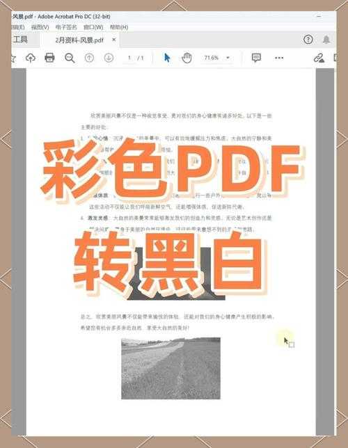 PDF打印颜色深度解析：从黑白到彩色的实用转换指南