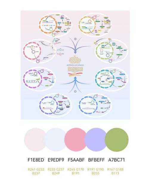 PDF区域涂色终极指南：从基础到高阶的完整解决方案