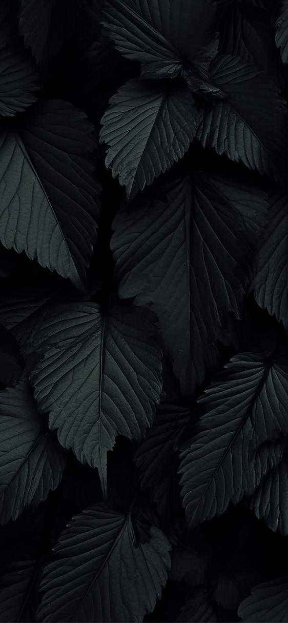 深夜办公党必备：PDF黑背景模式全攻略，护眼又高效