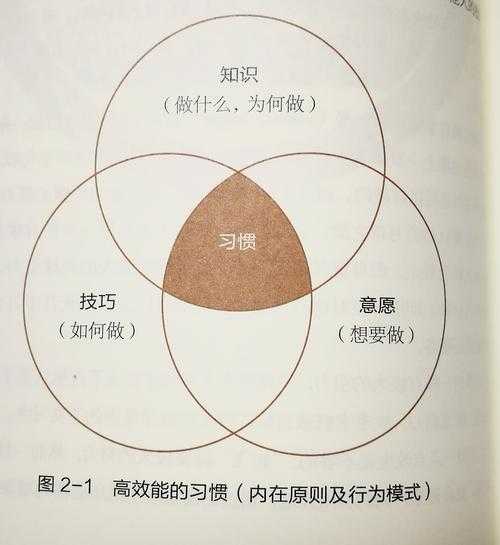 PDF打印裁剪终极指南：90%的人都不知道的高效技巧