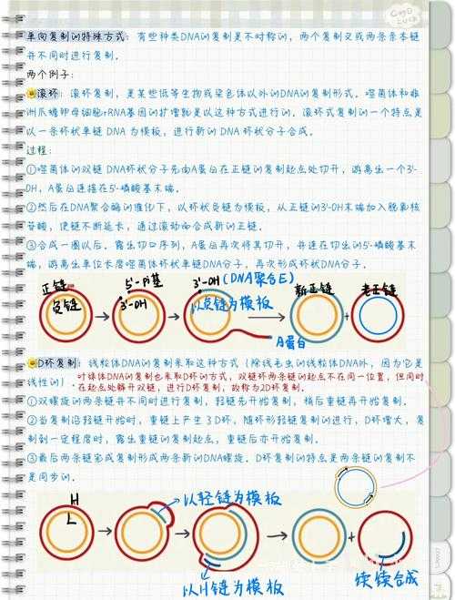 PDF课件编辑终极指南：从复制到改写的深度实践