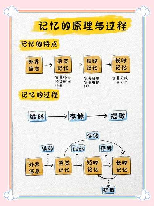 PDF文档高效记忆术：从工具选择到实操技巧的全方位指南