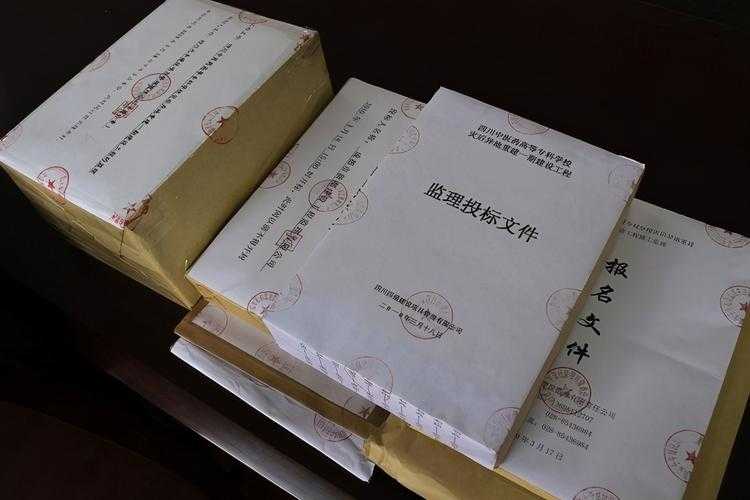 从零到专业：揭秘用PDF制作标书的5个关键步骤与3个90%人会犯的错误