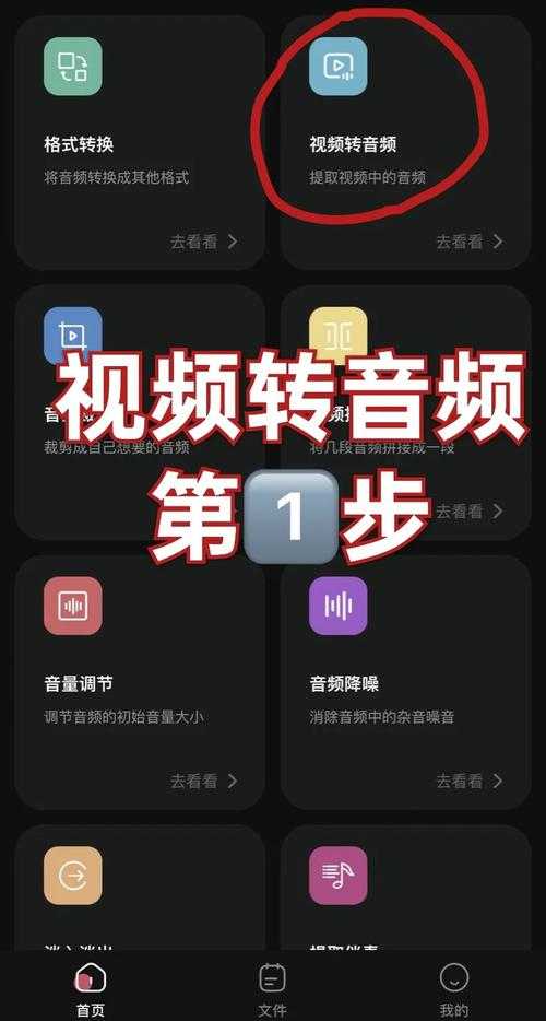 从TTA到PDF：揭秘音频转文档的高效工作流，90%的人第一步就错了