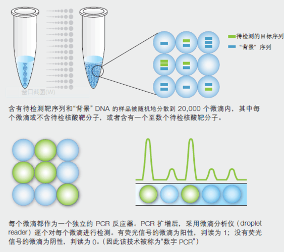 PDF文件体积膨胀之谜：从技术底层解析如何精准控制文档大小