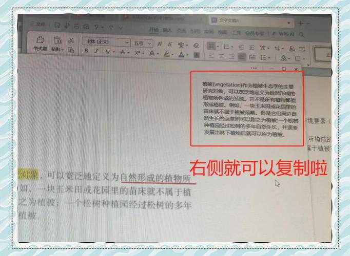PDF图片提取终极指南:3种方法教你如何复制PDF文档图片