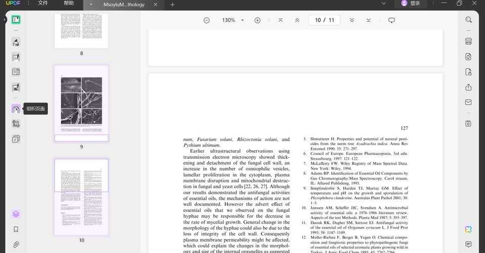 PDF文档排版进阶：揭秘专业级列表设置的3个核心技巧