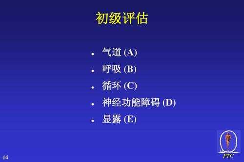 PDF急救指南：从文件损坏到专业修复的完整解决方案