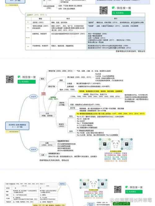 Blumind思维导图转PDF全攻略：从基础操作到高阶技巧
