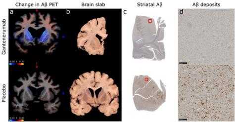 PDF压印困扰？3种专业级解决方案深度解析