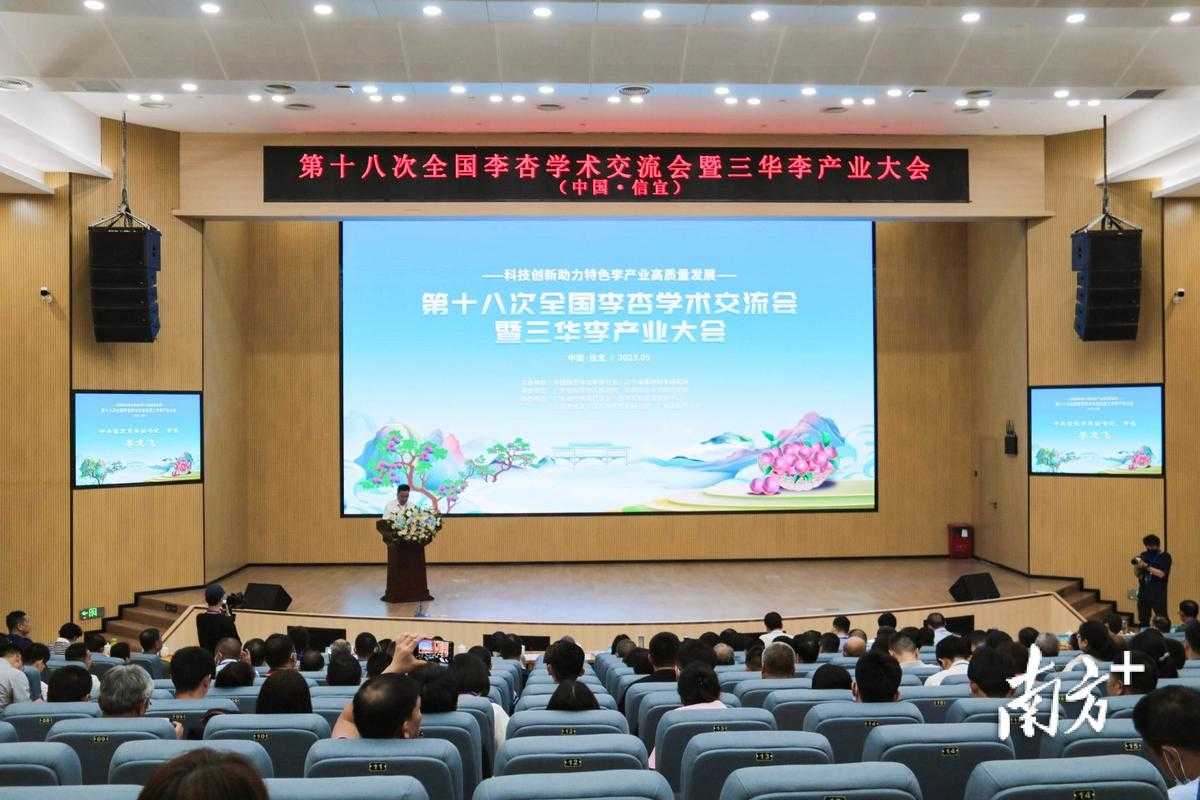 解密PDF转CAJ：从学术需求到实操落地的完整指南