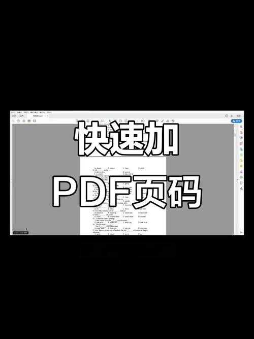 PDF文件打码全攻略：从基础操作到高阶技巧，保护敏感信息就这么简单