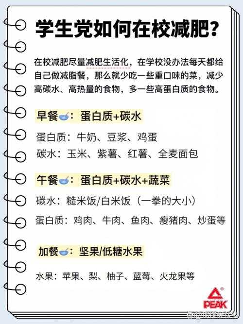 PDF文档瘦身全攻略：从原理到实践的深度解析